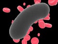 Bacterium on black background. Raster Ã¢ââ13 Royalty Free Stock Photo